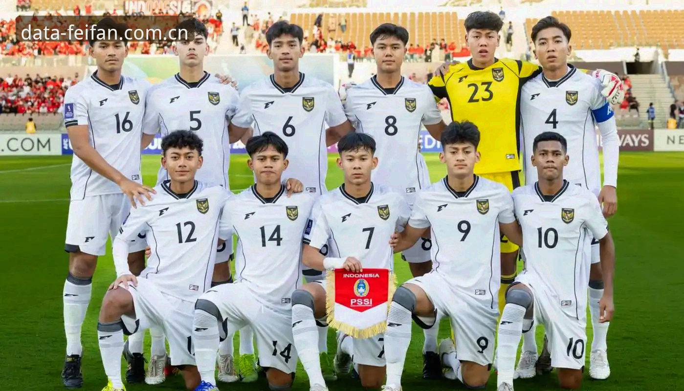 U17世界杯抽签结果出炉，非凡体育最新版本助你全程追踪赛事动态